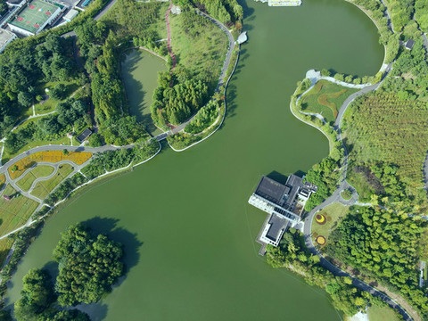 航拍上海大寧郁金香公園人工湖