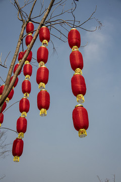懸掛的紅燈籠