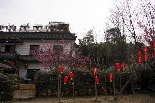 四川成都紅砂村花鄉(xiāng)農(nóng)居民居建筑