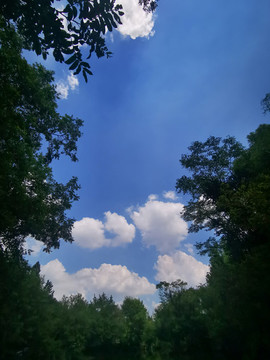 天空素材