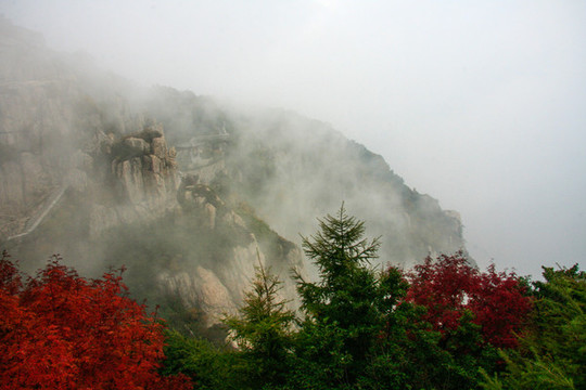 泰山