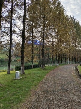 公園
