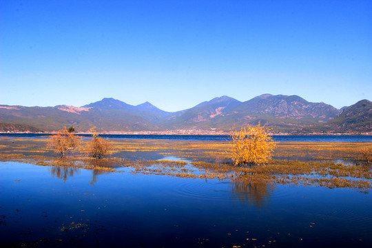 藍(lán)色湖