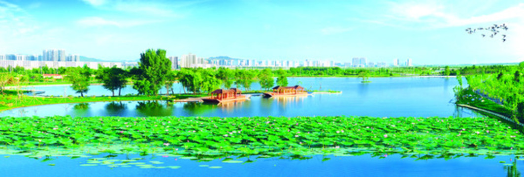 鐵嶺蓮花濕地景區(qū)