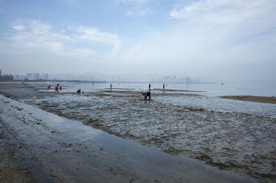 海邊趕海圖片