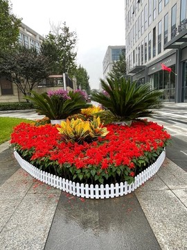 景觀花卉