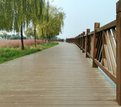 沙苑水庫景區(qū)