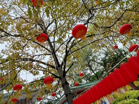 節(jié)日喜慶