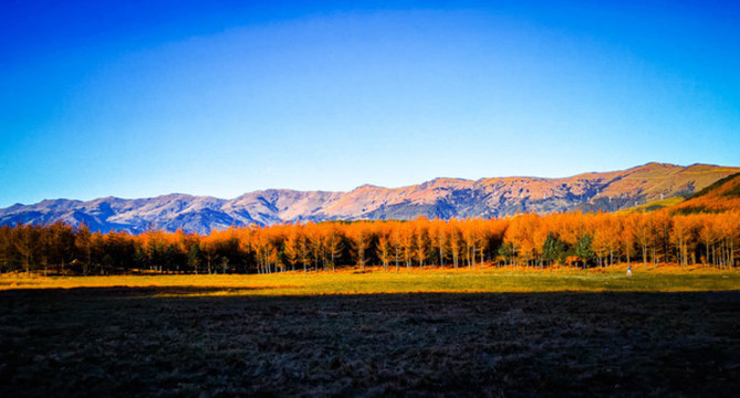 美姑龍頭山林海雪原川西紅葉