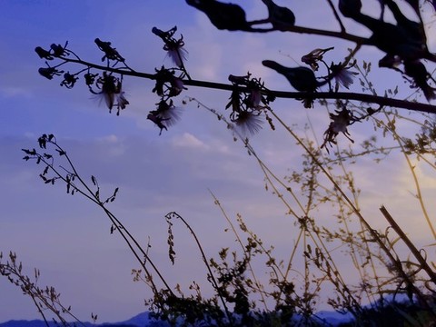 天空