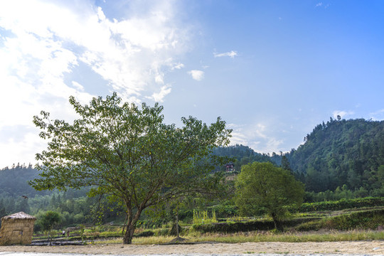 安徽西遞古村景區(qū)