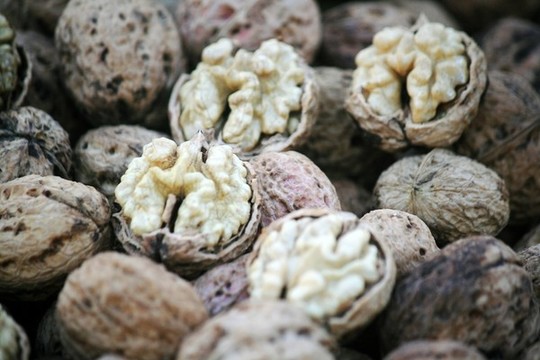 薄殼核桃