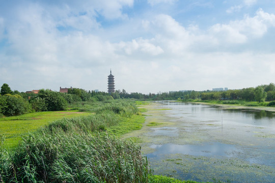 河岸地平線