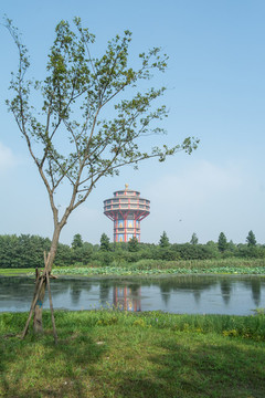 水岸風(fēng)光