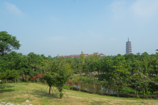 生態(tài)濕地公園