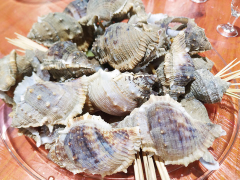 海螺