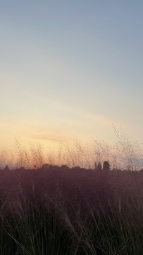夕陽(yáng)粉黛