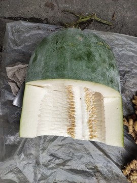 切開(kāi)的冬瓜