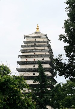龍護(hù)舍利塔