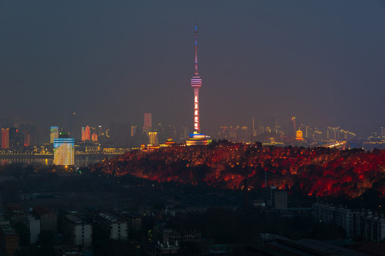 湖北武漢城市天際線風(fēng)光