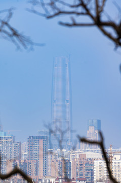 湖北武漢城市天際線風(fēng)光