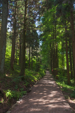 湖北黃岡羅田大別山薄刀鋒風(fēng)景區(qū)