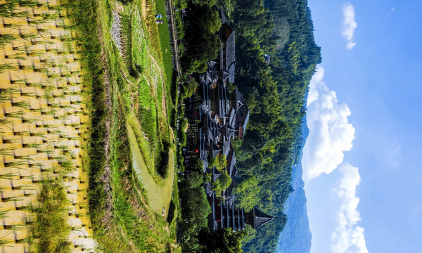 梯田
