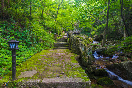 湖北黃岡羅田大別山薄刀鋒風景區(qū)
