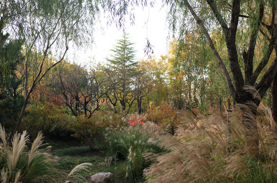 日照大學城公園