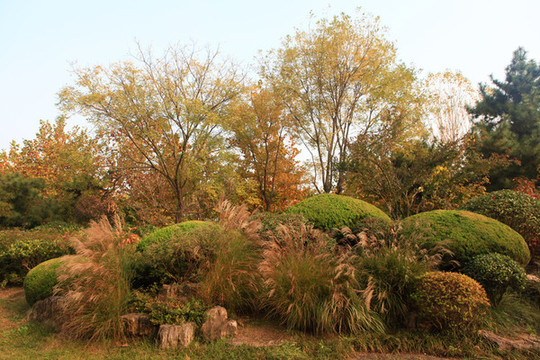 日照大學(xué)城公園
