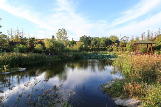 日照大學(xué)城公園