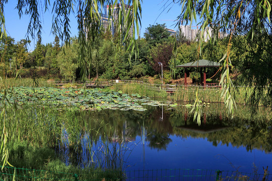 日照大學(xué)城公園