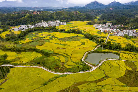 廣東封開大地鋪金鄉(xiāng)村如畫