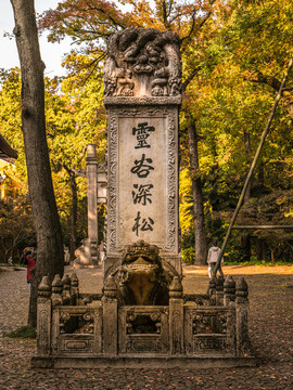 靈谷深松