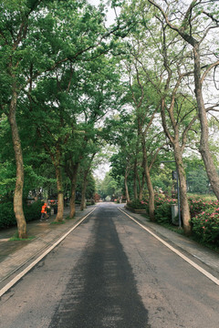 湖北武漢東湖磨山杜鵑園初春風(fēng)光