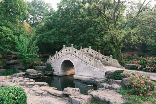 湖北武漢東湖磨山杜鵑園初春風(fēng)光