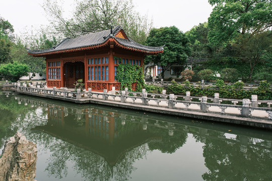 湖北武漢東湖磨山杜鵑園初春風(fēng)光