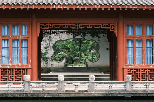 湖北武漢東湖磨山杜鵑園初春風(fēng)光