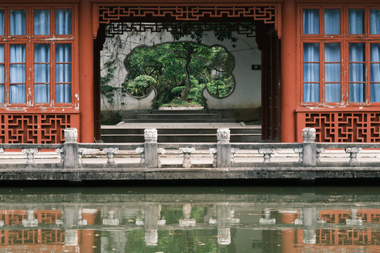 湖北武漢東湖磨山杜鵑園初春風(fēng)光