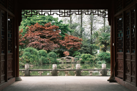 湖北武漢東湖磨山杜鵑園初春風(fēng)光
