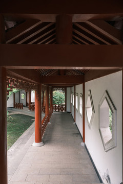 湖北武漢東湖磨山杜鵑園初春風(fēng)光