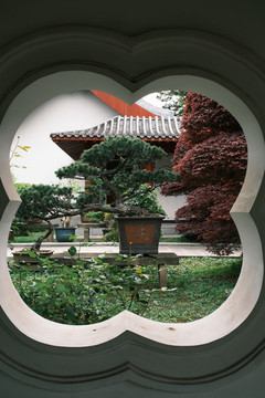 湖北武漢東湖磨山杜鵑園初春風(fēng)光