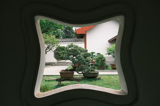 湖北武漢東湖磨山杜鵑園初春風(fēng)光
