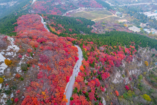 航拍濟(jì)南蝎子山蚰蜒山紅葉