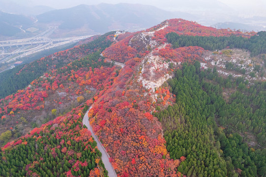 航拍濟(jì)南蝎子山蚰蜒山紅葉