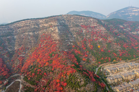 航拍濟南蝎子山蚰蜒山紅葉