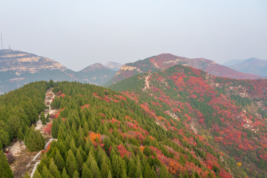 航拍濟(jì)南蝎子山蚰蜒山紅葉