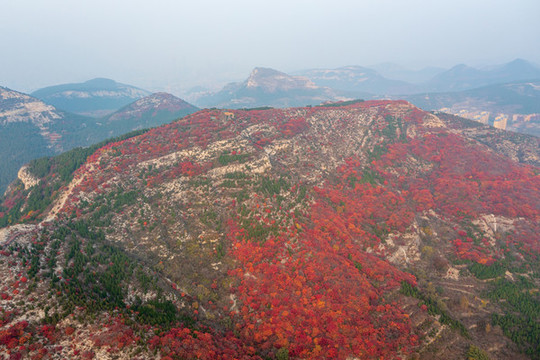 航拍濟南蝎子山蚰蜒山紅葉