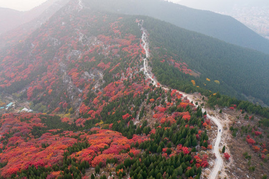 航拍濟南蝎子山蚰蜒山紅葉