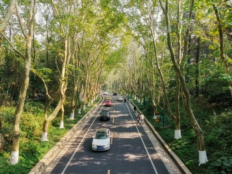 南京中山陵